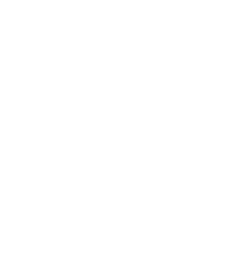 icono nuestro objetivo